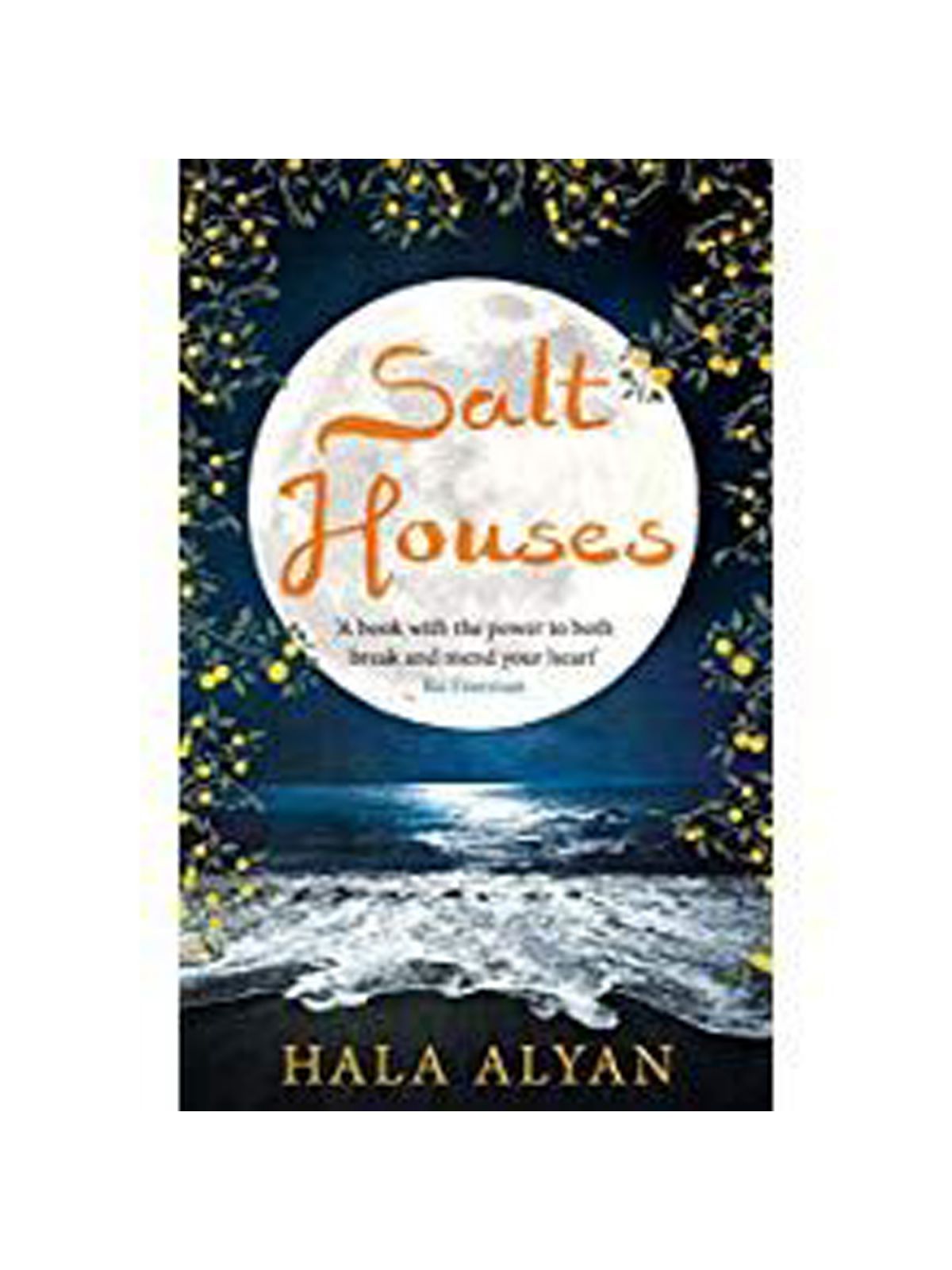 SALT HOUSES ALYAN,HALA Купить Книгу на Английском