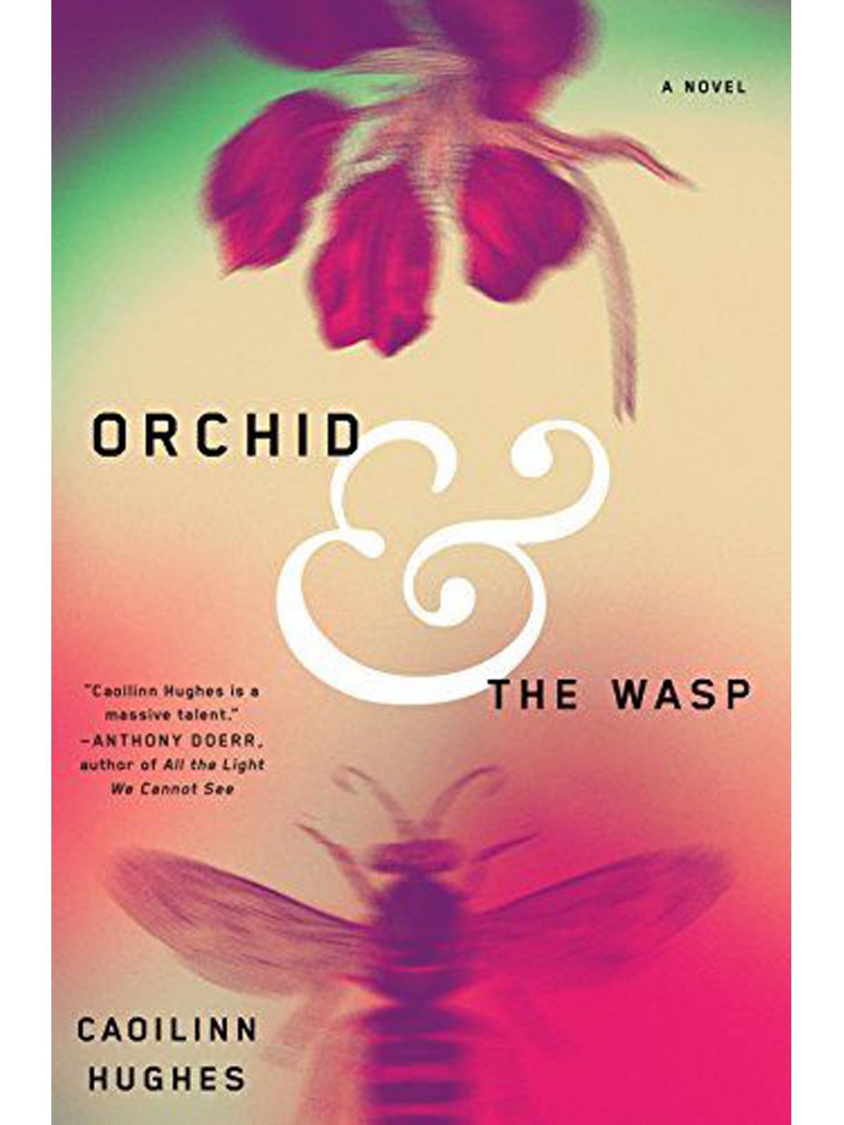 ORCHID & THE WASP HUGHES, CAOILINN Купить Книгу на Английском