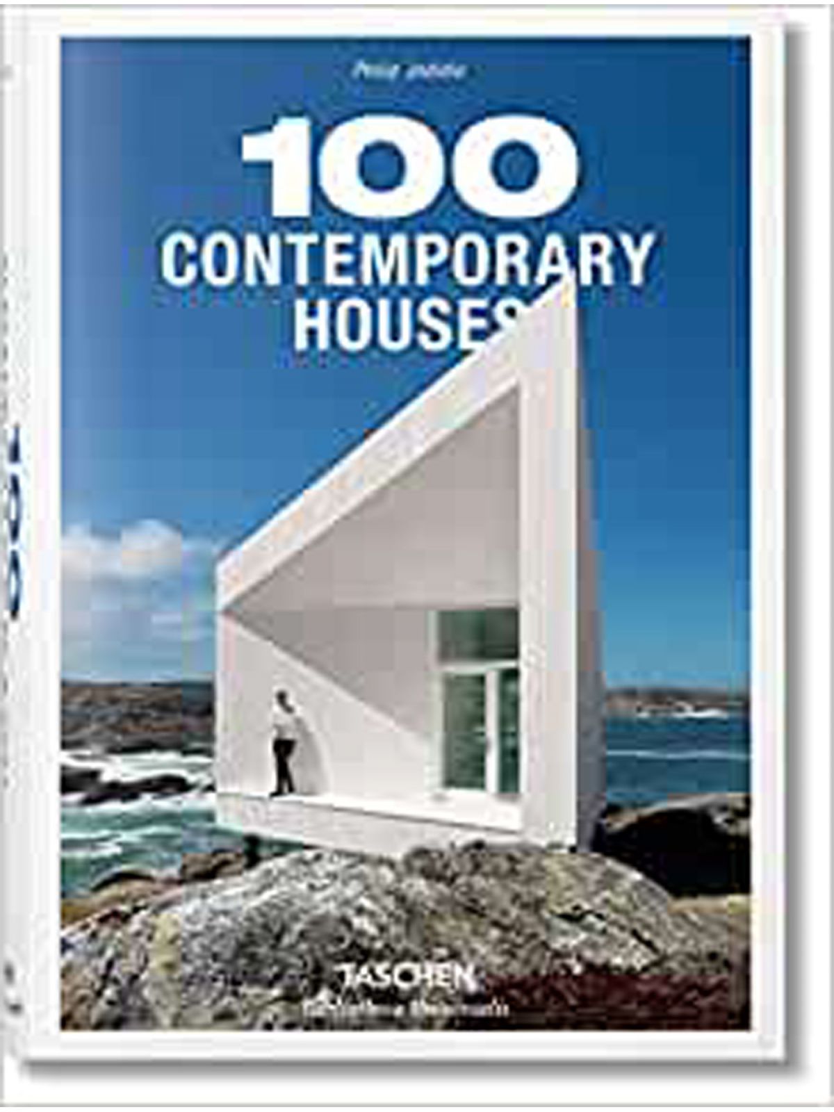 100 CONTEMPORARY HOUSES  Купить Книгу на Английском
